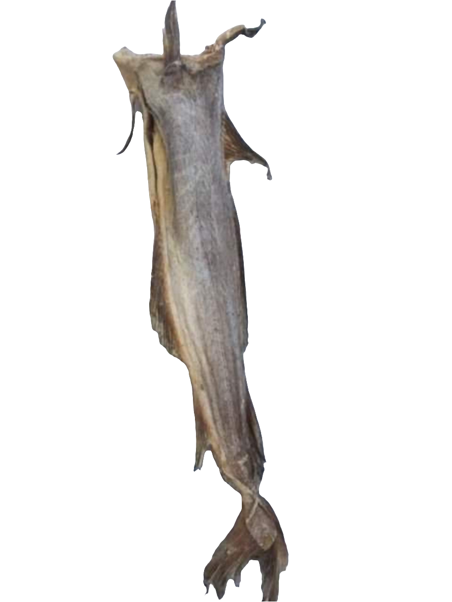 Stockfish of Cod 10KG