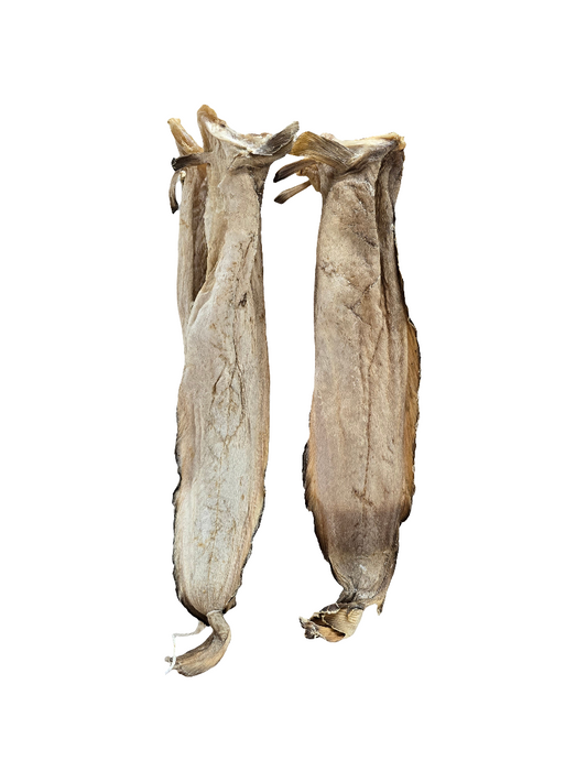 Stockfish of Tusk (Brosme) 20/40cm 45KG - Small